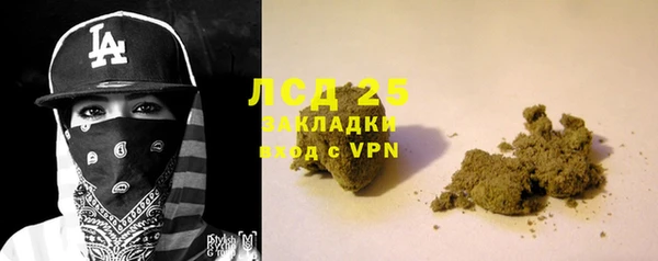 спайс Лагань