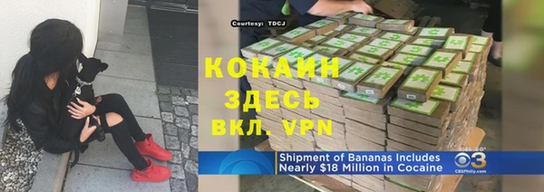 спайс Лагань