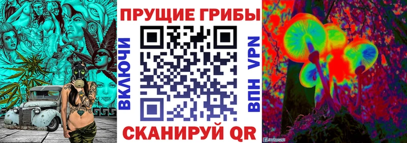 Галлюциногенные грибы мицелий  Шимановск 